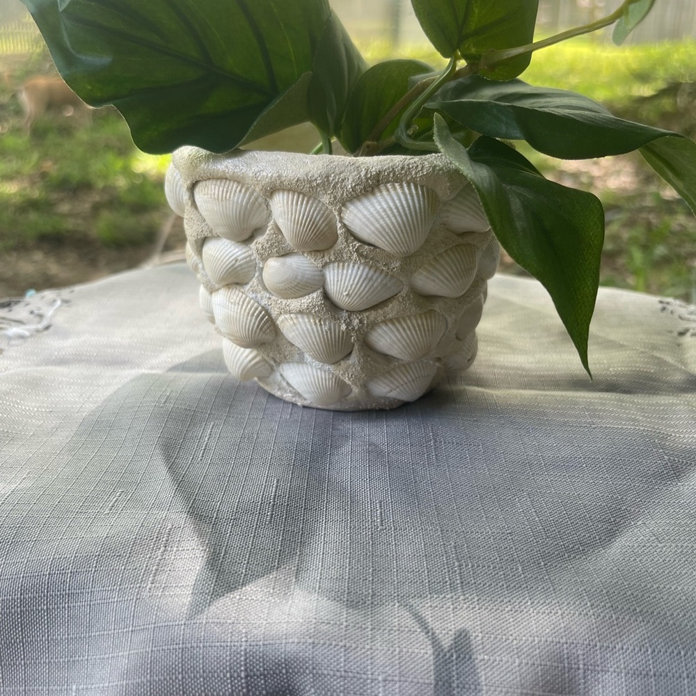 Small Seashell Flower Pot - Picture 4 of 9
